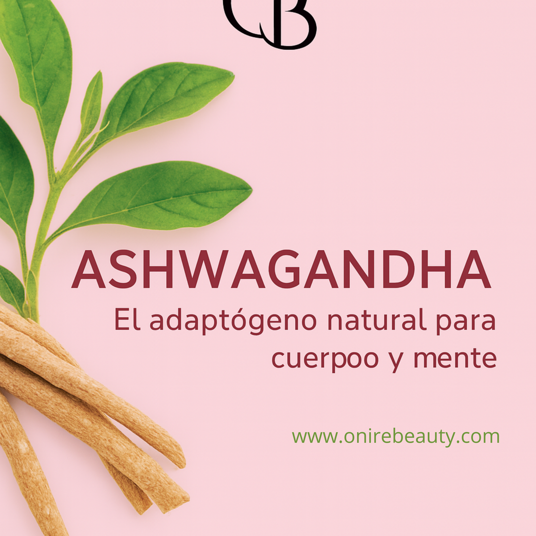 Ashwagandha: El adaptógeno ancestral que transforma cuerpo, mente y rendimiento.