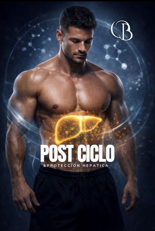 POST CICLO Y PROTECTORES FITNESS