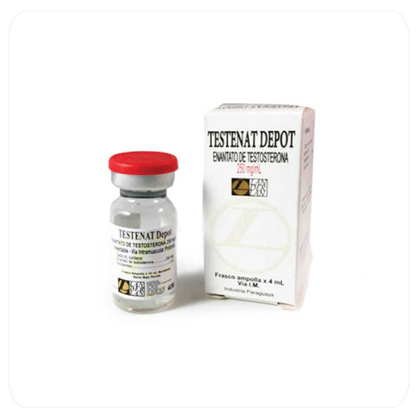 Vial de Testenat Depot Landerlan 250 mg (4 ml). Enantato de testosterona de grado farmacéutico para volumen muscular y fuerza. Producto original con sistema de validación QR.